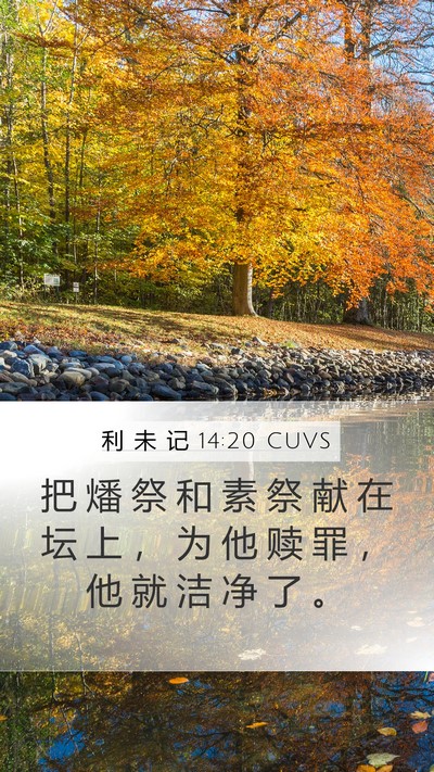 利 未 记 14:20 CUVS Bible Verse Image