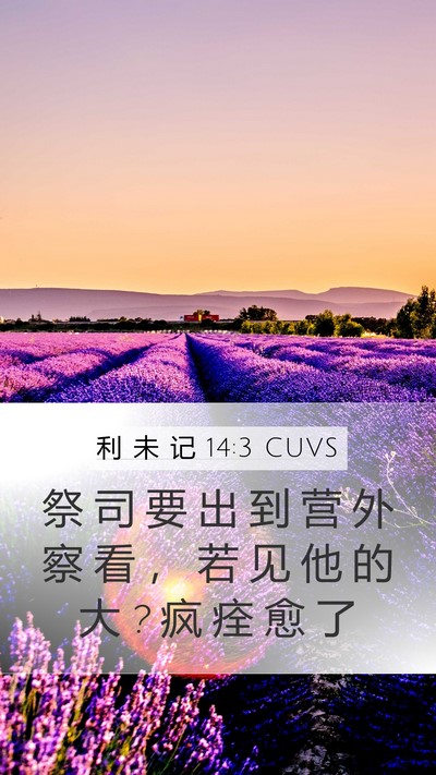 利 未 记 14:3 CUVS Bible Verse Image