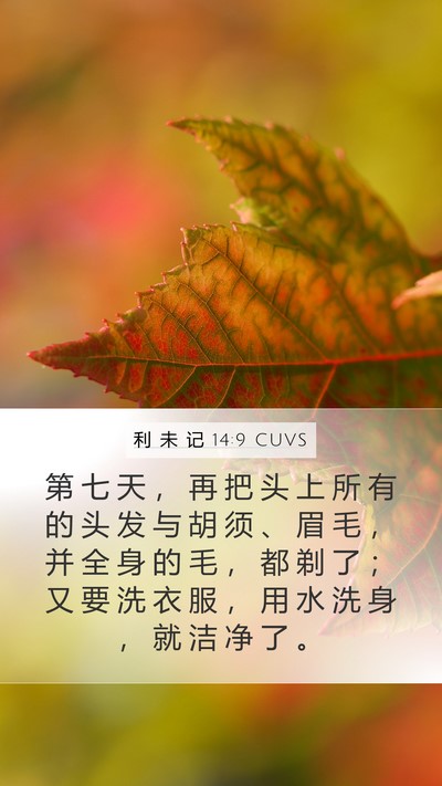 利 未 记 14:9 CUVS Bible Verse Image