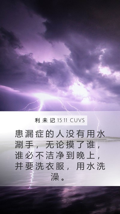 利 未 记 15:11 CUVS Mobile Phone Wallpaper - 患 漏 症 的 人 没 有 用 水 涮 手 ， - Mobile Bible Verse Wallpaper
