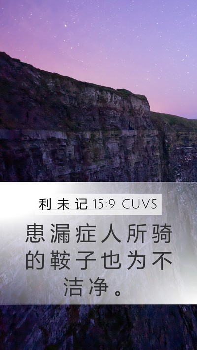 利 未 记 15:9 CUVS Mobile Phone Wallpaper - 患 漏 症 人 所 骑 的 鞍 子 也 为 不 - Mobile Bible Verse Wallpaper