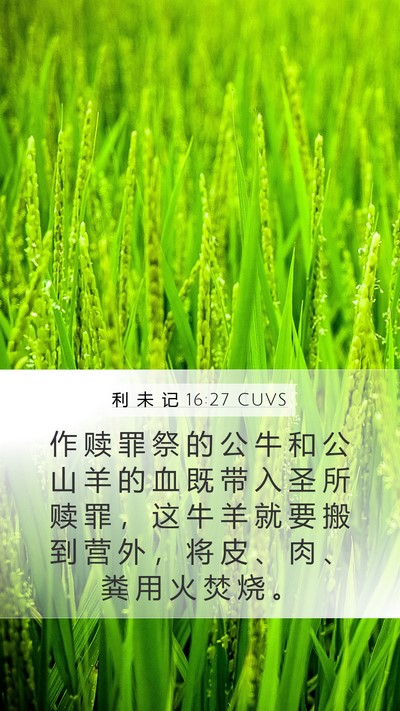 利 未 记 16:27 CUVS Bible Verse Image