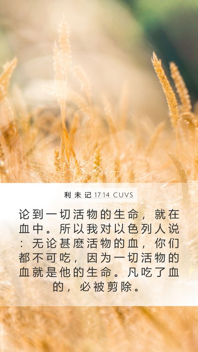 利 未 记 17:14 CUVS Mobile Phone Wallpaper - 论 到 一 切 活 物 的 生 命 ， 就 在 - Mobile Bible Verse Wallpaper