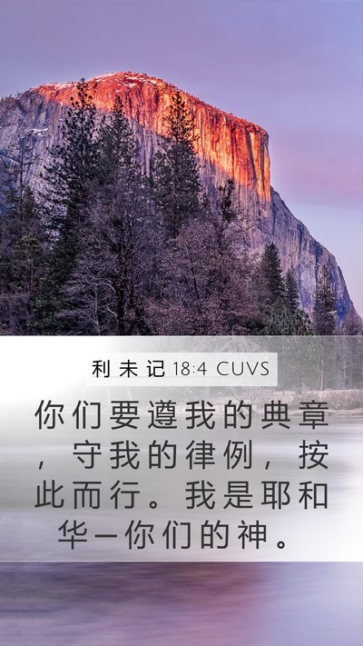 利 未 记 18:4 CUVS Bible Verse Image