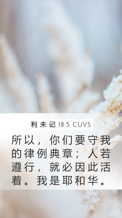 利 未 记 18:5 CUVS Bible Verse Image