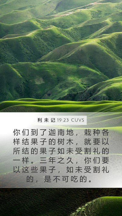 利 未 记 19:23 CUVS Bible Verse Image
