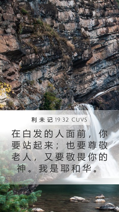 利 未 记 19:32 CUVS Mobile Phone Wallpaper - 在 白 发 的 人 面 前 ， 你 要 站 起 - Mobile Bible Verse Wallpaper