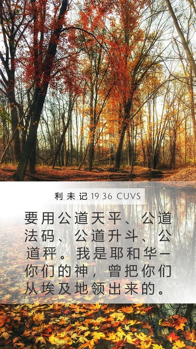 利 未 记 19:36 CUVS Bible Verse Image