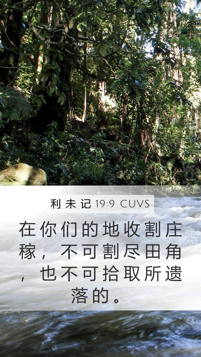 利 未 记 19:9 CUVS Bible Verse Image