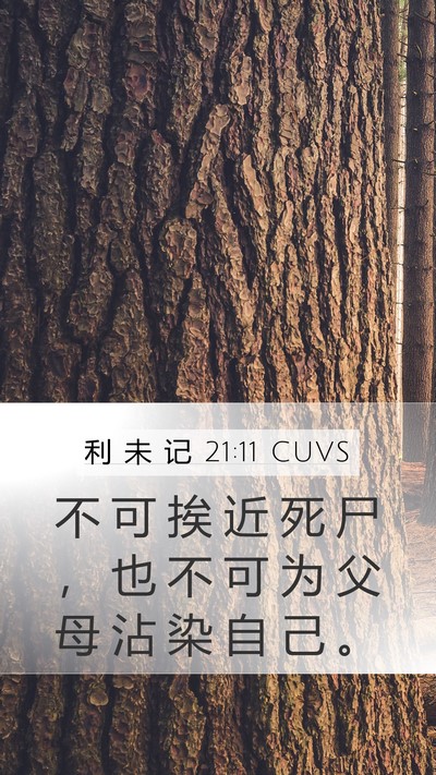 利 未 记 21:11 CUVS Bible Verse Image