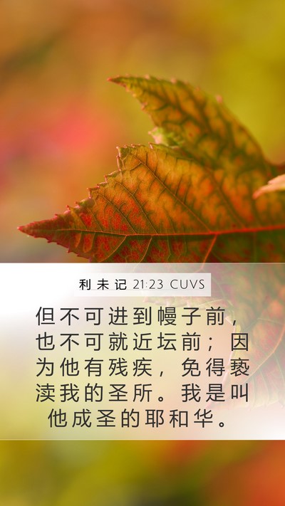 利 未 记 21:23 CUVS Mobile Phone Wallpaper - 但 不 可 进 到 幔 子 前 ， 也 不 可 - Mobile Bible Verse Wallpaper