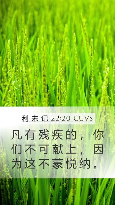 利 未 记 22:20 CUVS Bible Verse Image