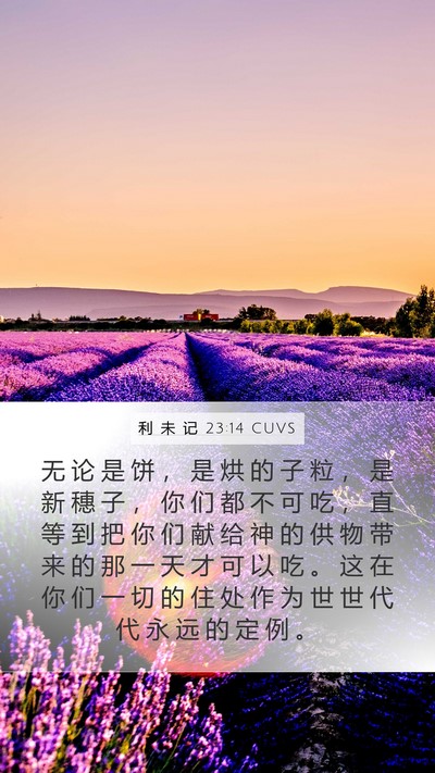 利 未 记 23:14 CUVS Bible Verse Image