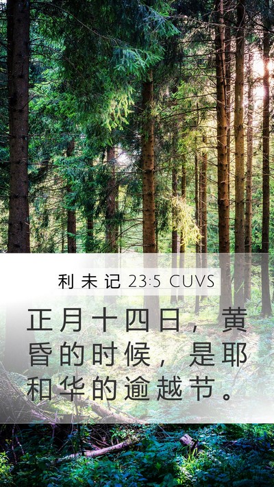利 未 记 23:5 CUVS Bible Verse Image