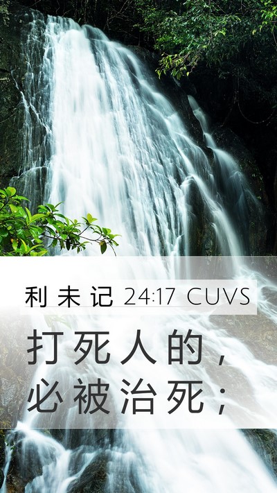 利 未 记 24:17 CUVS Bible Verse Image