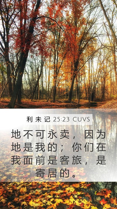 利 未 记 25:23 CUVS Bible Verse Image