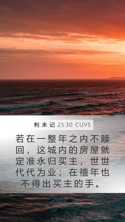 利 未 记 25:30 CUVS Mobile Phone Wallpaper - 若 在 一 整 年 之 内 不 赎 回 ， 这 - Mobile Bible Verse Wallpaper