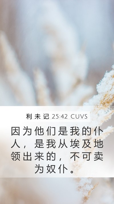 利 未 记 25:42 CUVS Bible Verse Image