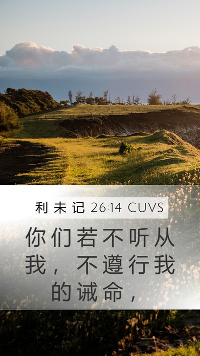 利 未 记 26:14 CUVS Bible Verse Image