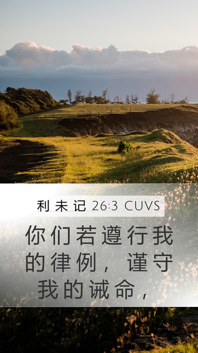利 未 记 26:3 CUVS Bible Verse Image