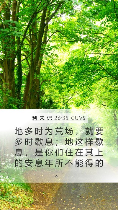 利 未 记 26:35 CUVS Mobile Phone Wallpaper - 地 多 时 为 荒 场 ， 就 要 多 时 歇 - Mobile Bible Verse Wallpaper