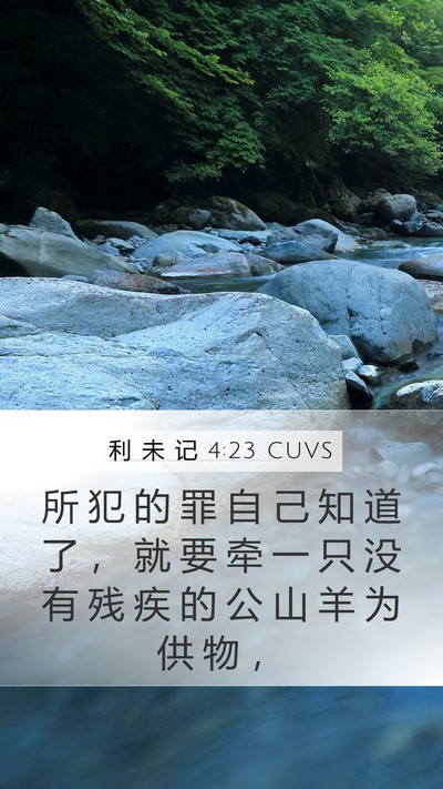 利 未 记 4:23 CUVS Bible Verse Image