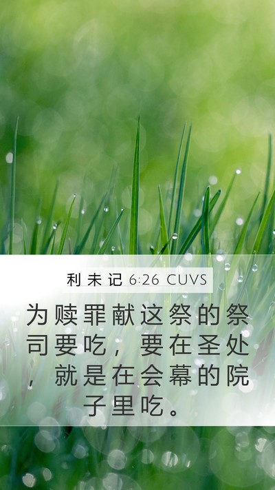 利 未 记 6:26 CUVS Bible Verse Image
