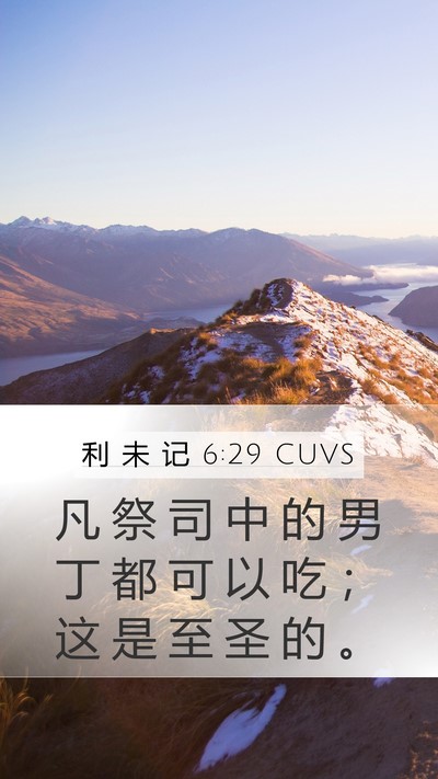 利 未 记 6:29 CUVS Bible Verse Image