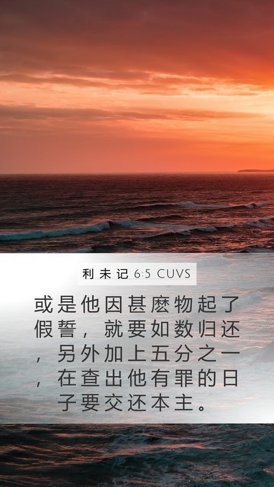利 未 记 6:5 CUVS Mobile Phone Wallpaper - 或 是 他 因 甚 麽 物 起 了 假 誓 ， - Mobile Bible Verse Wallpaper