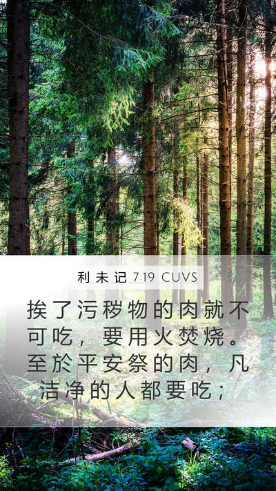 利 未 记 7:19 CUVS Mobile Phone Wallpaper - 挨 了 污 秽 物 的 肉 就 不 可 吃 ， - Mobile Bible Verse Wallpaper