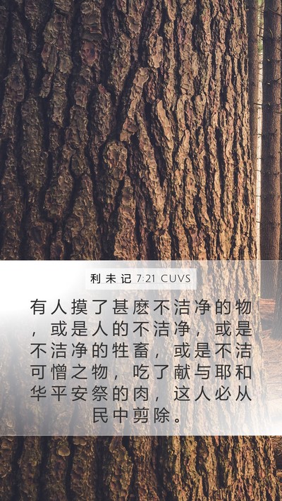 利 未 记 7:21 CUVS Mobile Phone Wallpaper - 有 人 摸 了 甚 麽 不 洁 净 的 物 ， - Mobile Bible Verse Wallpaper