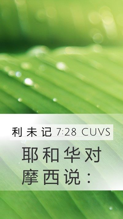 利 未 记 7:28 CUVS Mobile Phone Wallpaper - 耶 和 华 对 摩 西 说 - Mobile Bible Verse Wallpaper