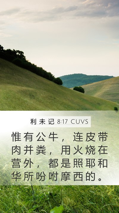利 未 记 8:17 CUVS Bible Verse Image