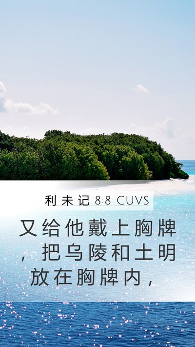 利 未 记 8:8 CUVS Mobile Phone Wallpaper - 又 给 他 戴 上 胸 牌 ， 把 乌 陵 和 - Mobile Bible Verse Wallpaper