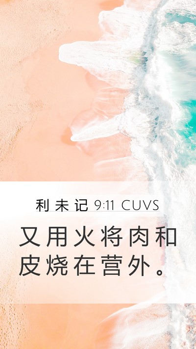 利 未 记 9:11 CUVS Mobile Phone Wallpaper - 又 用 火 将 肉 和 皮 烧 在 营 外 - Mobile Bible Verse Wallpaper