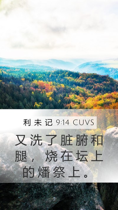 利 未 记 9:14 CUVS Mobile Phone Wallpaper - 又 洗 了 脏 腑 和 腿 ， 烧 在 坛 上 - Mobile Bible Verse Wallpaper