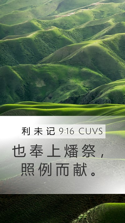 利 未 记 9:16 CUVS Mobile Phone Wallpaper - 也 奉 上 燔 祭 ， 照 例 而 献 - Mobile Bible Verse Wallpaper