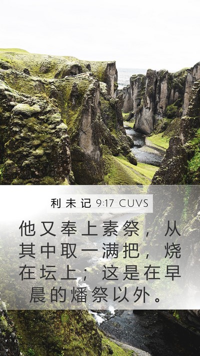利 未 记 9:17 CUVS Mobile Phone Wallpaper - 他 又 奉 上 素 祭 ， 从 其 中 取 一 - Mobile Bible Verse Wallpaper