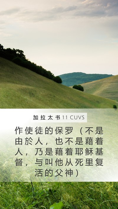 加 拉 太 书 1:1 CUVS Mobile Phone Wallpaper - 作 使 徒 的 保 罗 （ 不 是 由 於 人 - Mobile Bible Verse Wallpaper