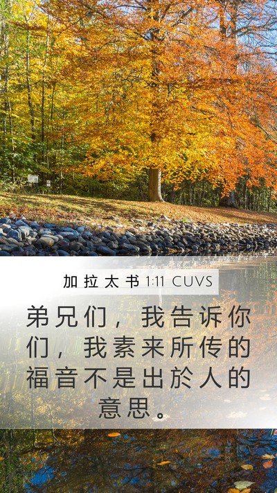 加 拉 太 书 1:11 CUVS Bible Verse Image
