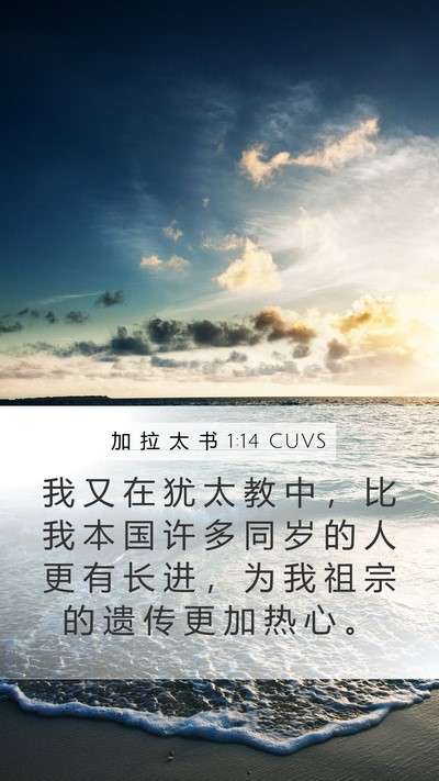 加 拉 太 书 1:14 CUVS Bible Verse Image