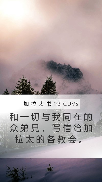 加 拉 太 书 1:2 CUVS Bible Verse Image