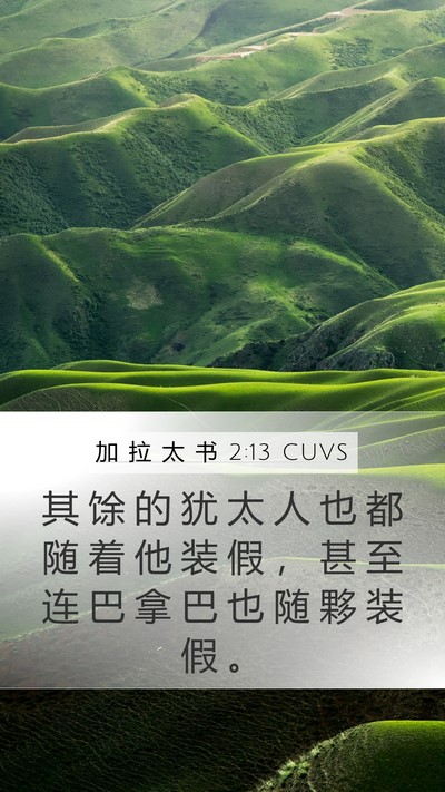 加 拉 太 书 2:13 CUVS Bible Verse Image