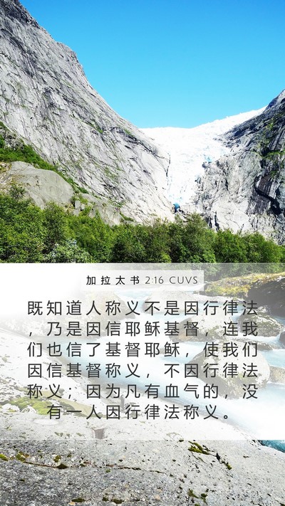 加 拉 太 书 2:16 CUVS Bible Verse Image