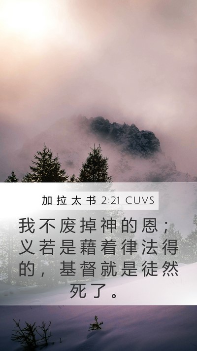加 拉 太 书 2:21 CUVS Bible Verse Image