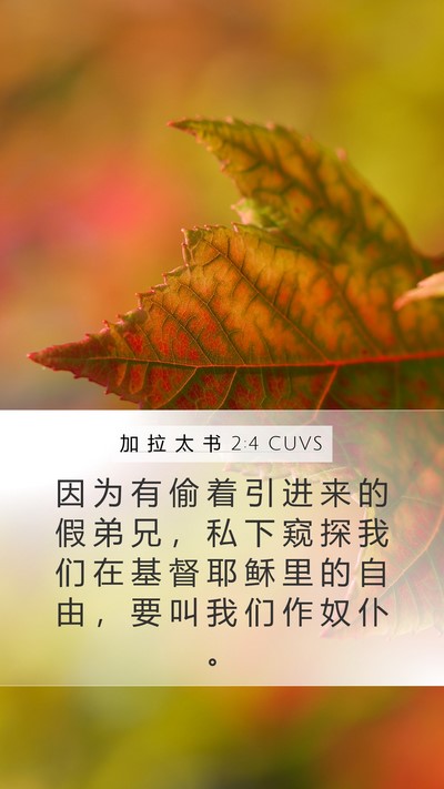 加 拉 太 书 2:4 CUVS Bible Verse Image