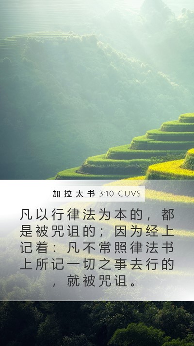 加 拉 太 书 3:10 CUVS Bible Verse Image