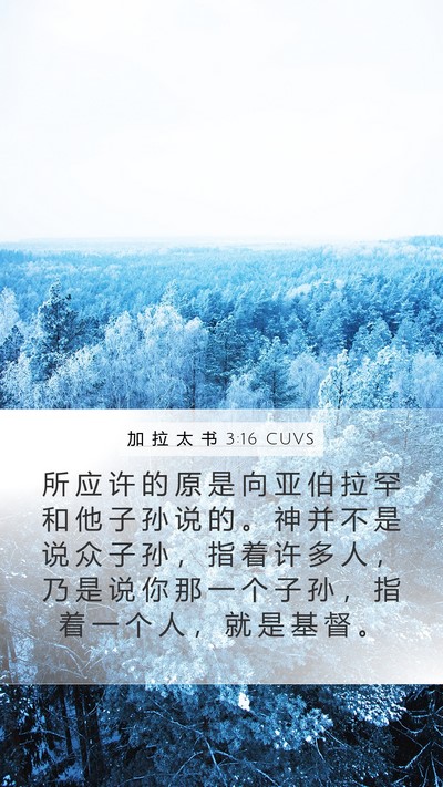 加 拉 太 书 3:16 CUVS Bible Verse Image