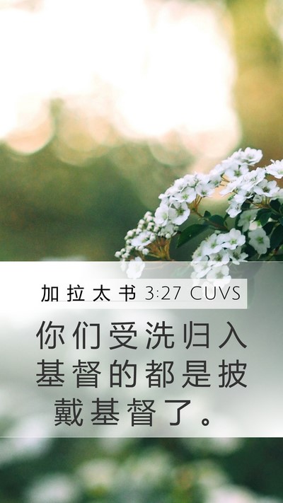 加 拉 太 书 3:27 CUVS Bible Verse Image