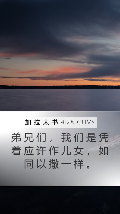 加 拉 太 书 4:28 CUVS Bible Verse Image